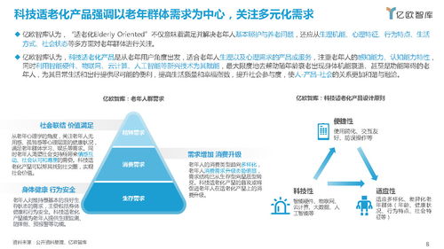 2021中國(guó)科技適老化產(chǎn)品研究報(bào)告 智能時(shí)代的溫情橋梁